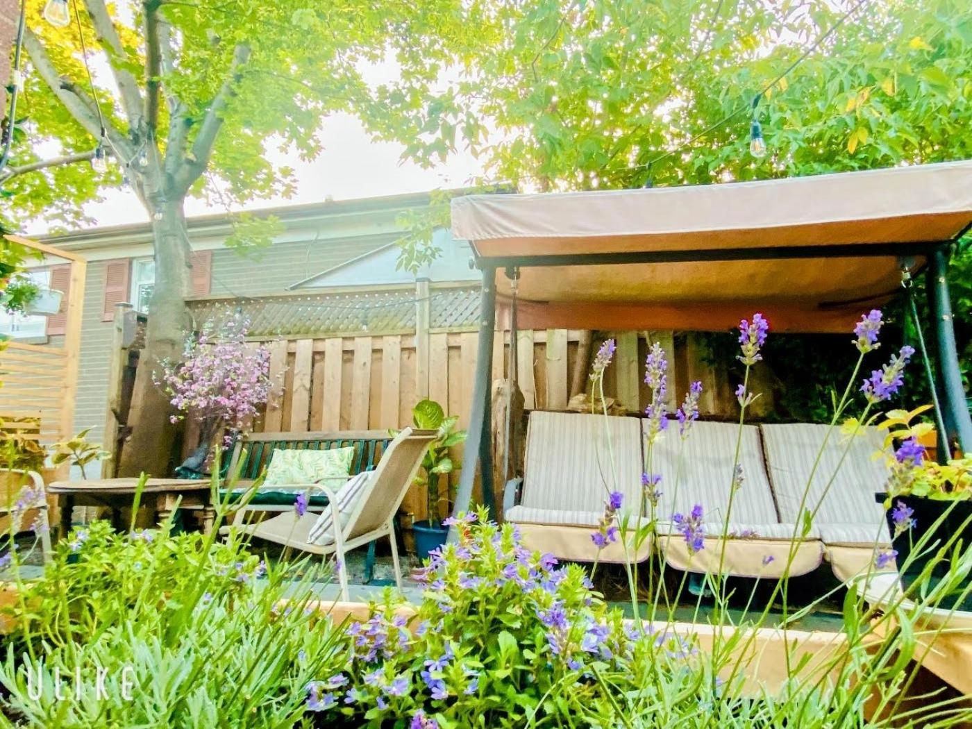 Toronto Bed & Breakfast - Free Parking Exterior foto