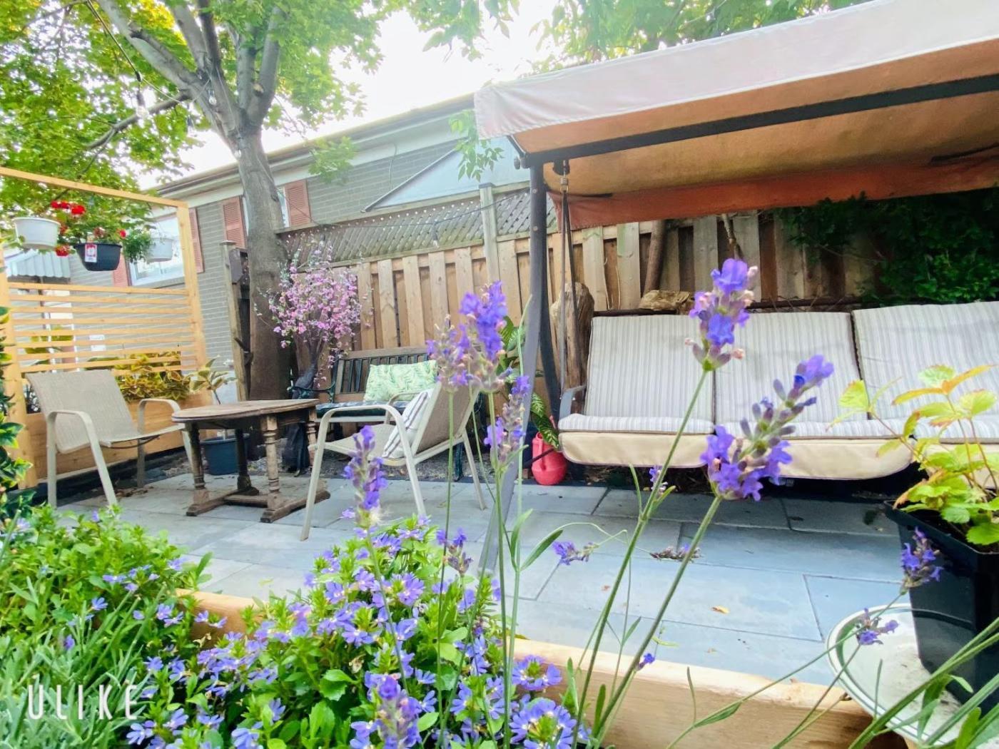 Toronto Bed & Breakfast - Free Parking Exterior foto